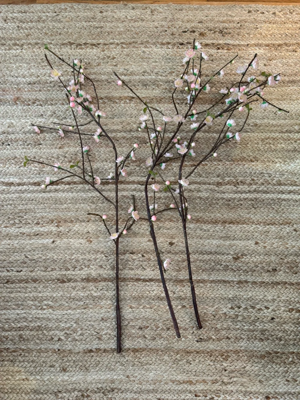 Three West Elm Cherry Blossom Branches